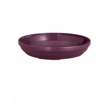 PLATO TERMOAISLADA 24.9 cm