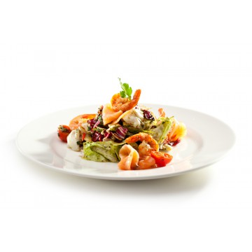 PLATO DE POLICARBONATO...
