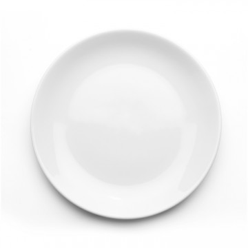 PLATO PRINCIPALES 30 cm...