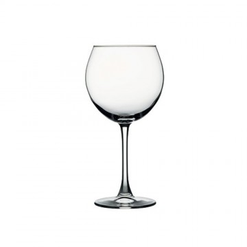 COPA GIN / SPRITZ 655 cc...